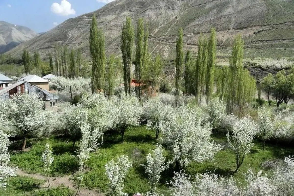 (تصاویر) نوروزگردی در کاخهای کرج؛ از کاخ مروارید تا کاخ شهرستانک