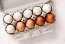 راست آزمایی؛ تخم‌مرغ قهوه‌ای و سفید، آیا واقعاً تفاوتی وجود دارد؟