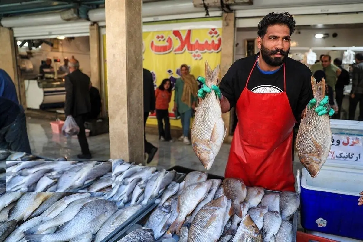 (تصاویر) بازار ماهی فروشان در شهرک عرب‌های مشهد