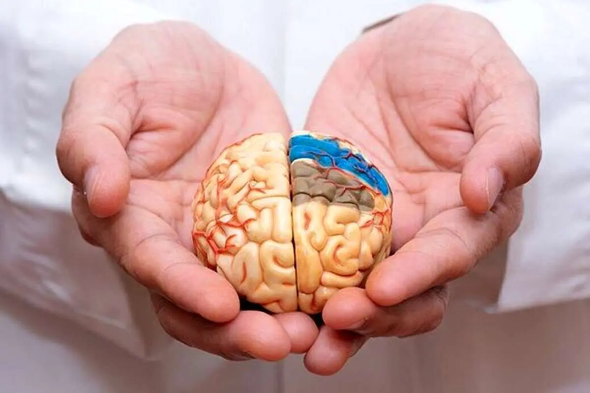 چرا برخی خاطرات در ذهن ماندگار میشود و برخی دیگر را فراموش میکنیم؟