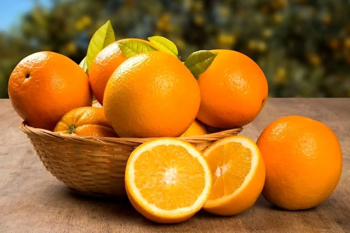 (ویدئو) افشاگری یک نماینده مجلس از قیمت‌گذاری پرتقال