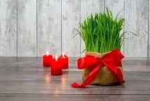 تفال به حافظ چهارشنبه ۱۳ فروردین ۱۴۰۴؛ گر چه افتاد ز زلفش گرهی در کارم.....