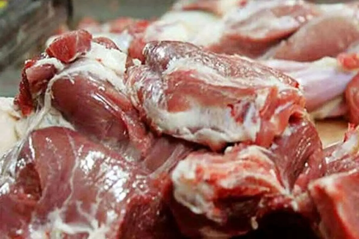 کشف بیش از ۱۱ تن گوشت اسب در سنندج