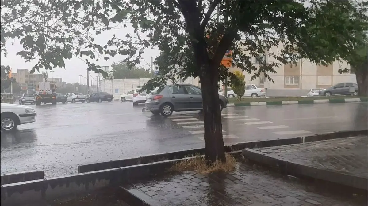 (ویدیو) هشدار هواشناسی: در طبیعت کمپ نزنید
