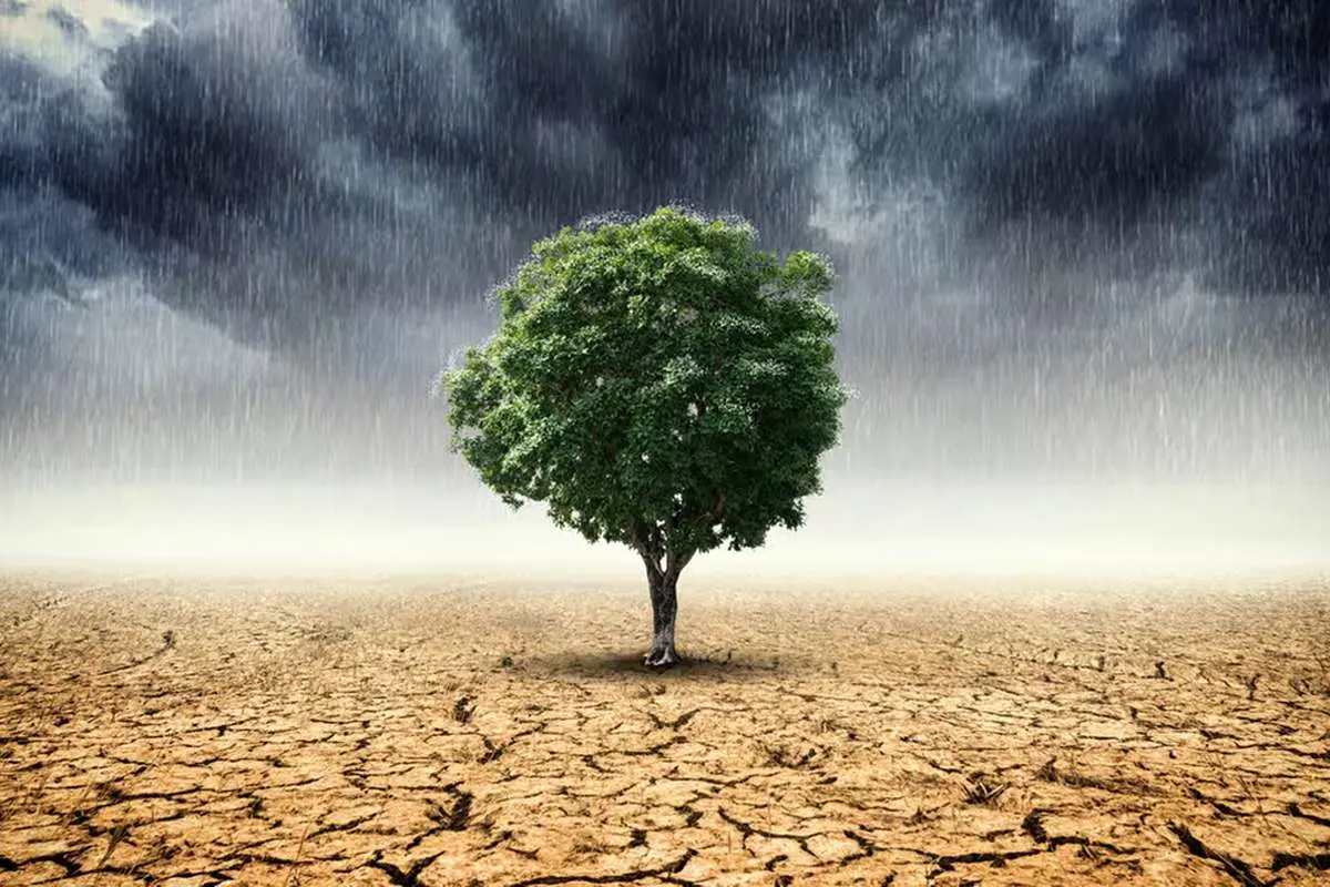 تغییرات اقلیمی در ایران؛ زنگ خطر برای امنیت آبی و زیست‌محیطی کشور