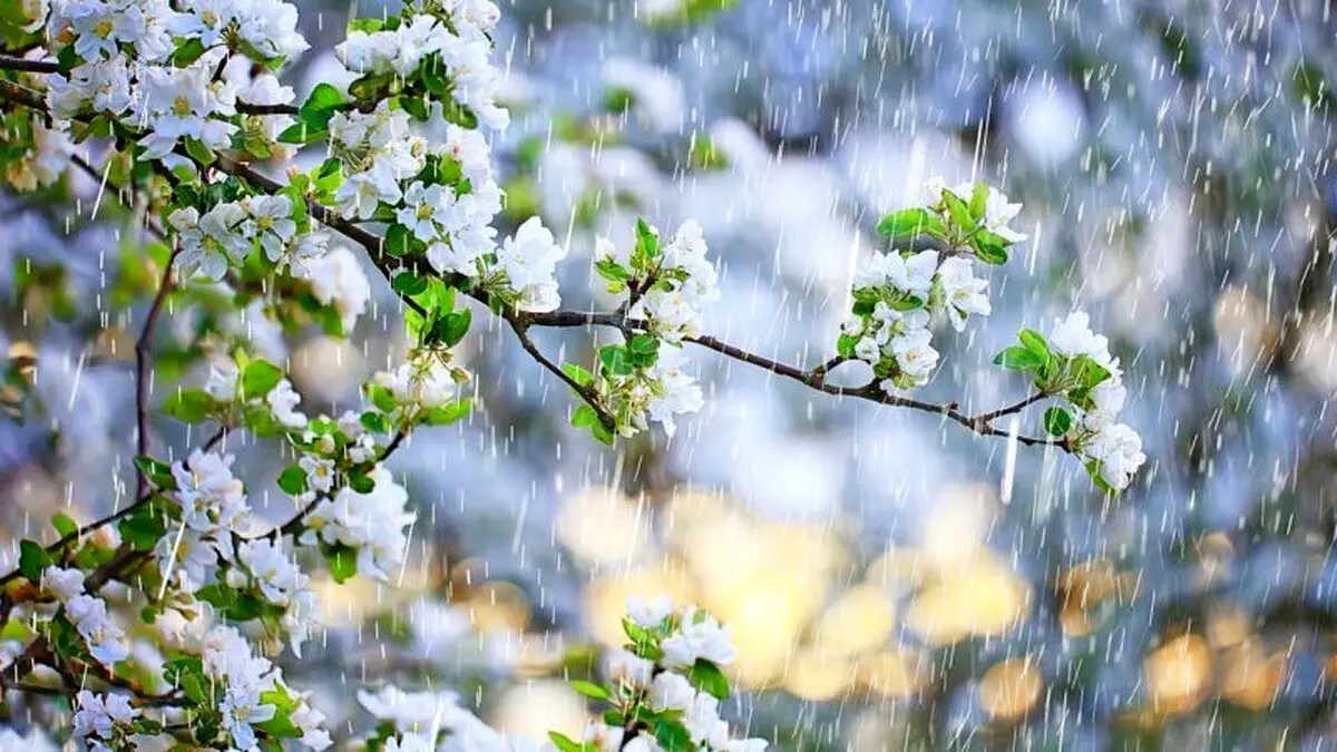 سرمای شدید در پیش است