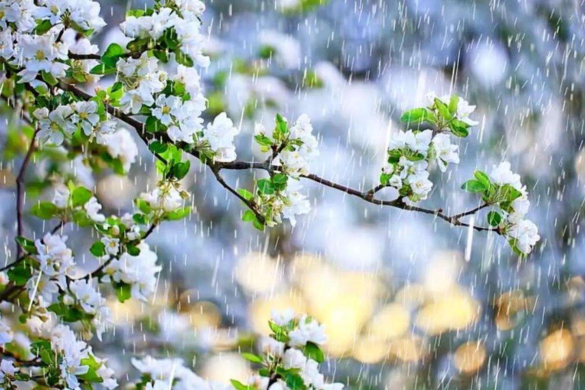 سرمای شدید در پیش است