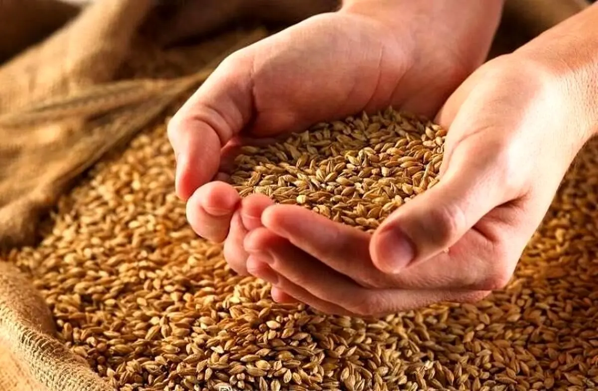 فطریه ۱۴۰۴ بر اساس نظر مقام معظم رهبری و برخی مراجع