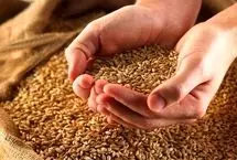فطریه ۱۴۰۴ بر اساس نظر مقام معظم رهبری و برخی مراجع