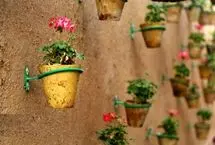 (تصاویر) بهار در کوچه‌های آشتی‌کنان یزد شکوفه داد