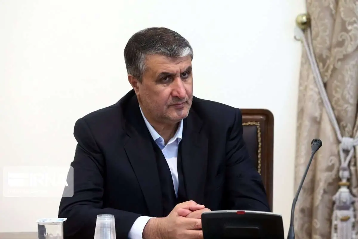 اسلامی: مشارکت با بخش خصوصی را در سازمان انرژی اتمی کلید زدیم