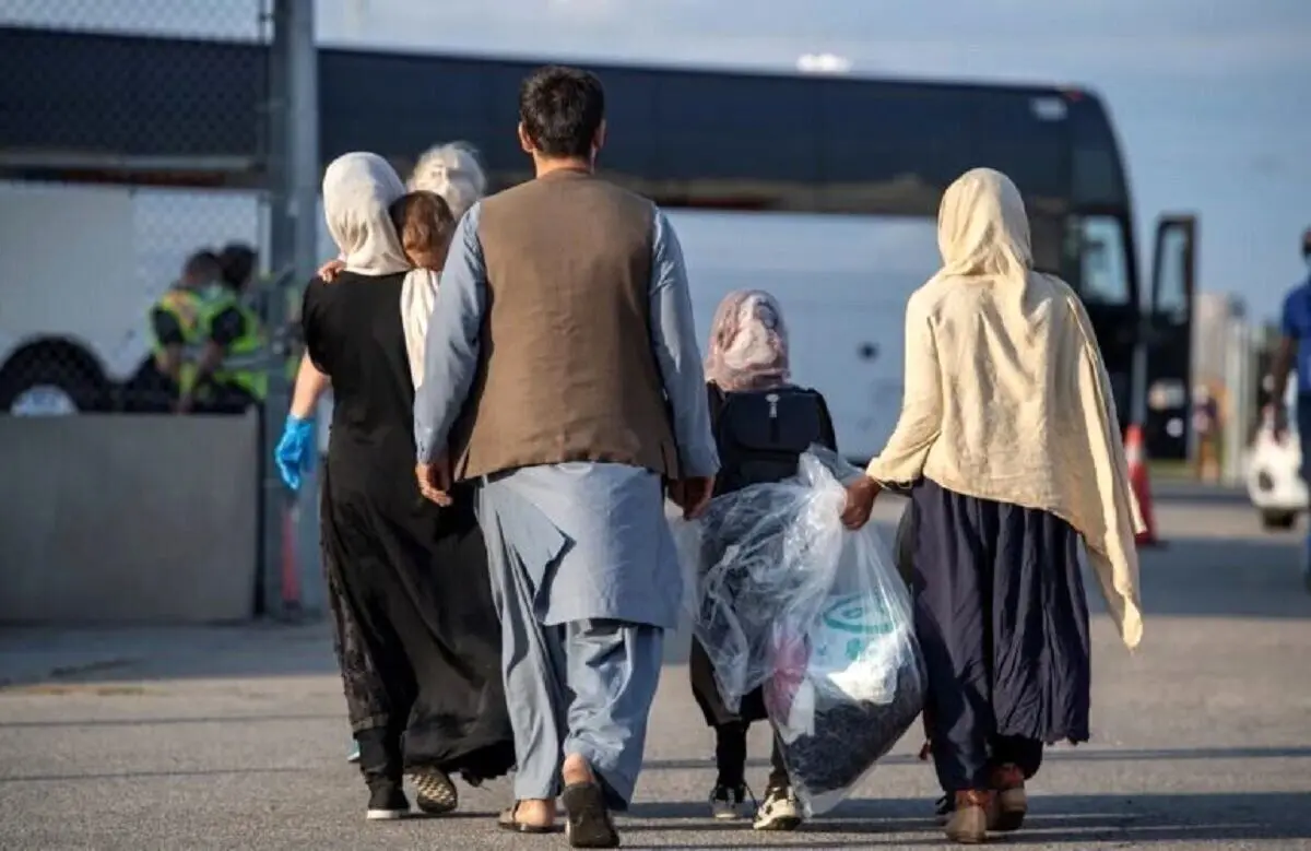 چرا پلیس اتباع افغانستانی را می‌گیرد و دوباره رها می‌کند؟