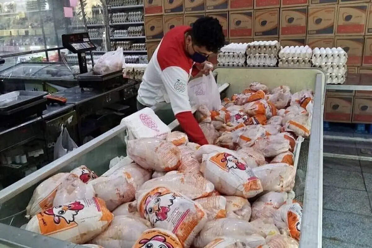 قیمت مرغ گران شد؛ فیله کیلویی ۲۹۹ هزار تومان