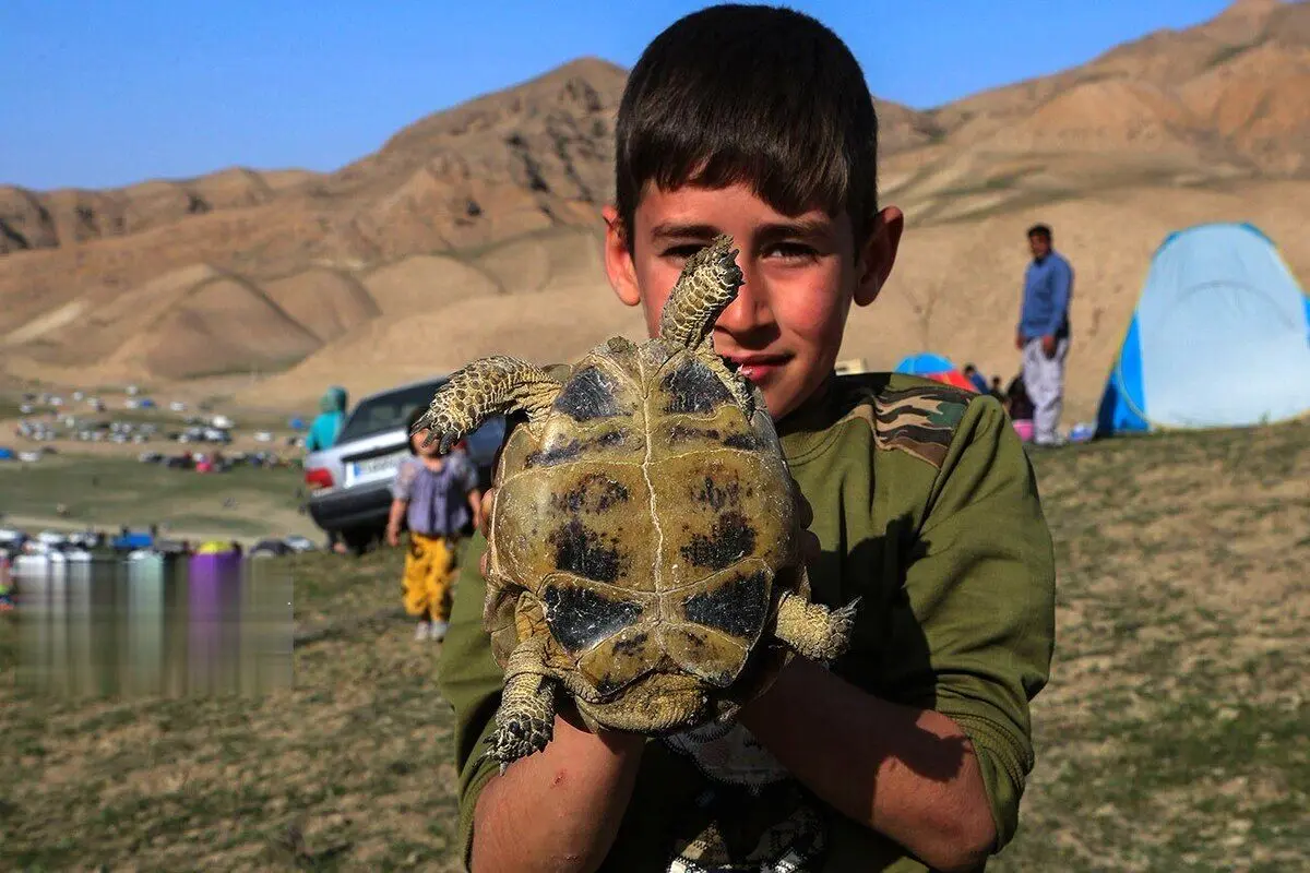 (تصاویر) جشن باشکوه نوروزگاه در روستای کالو