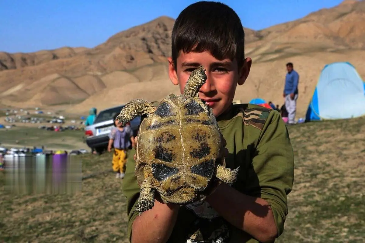 (تصاویر) جشن باشکوه نوروزگاه در روستای کالو