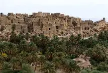 (تصاویر) نایبند، جزیره‌ای سبز در میان کویر