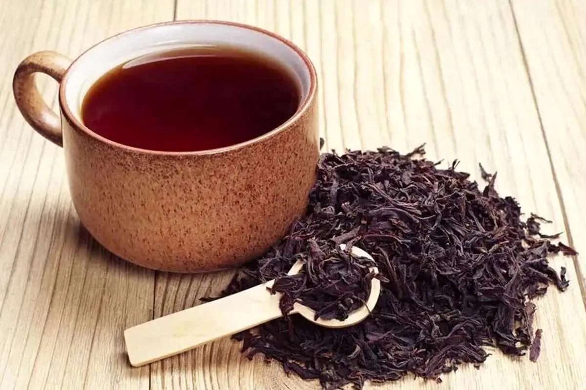 بزرگ‌ترین صادرکنندگان چای به ایران را بشناسید؛ هر کیلو چای ایرانی چقدر قیمت دارد؟