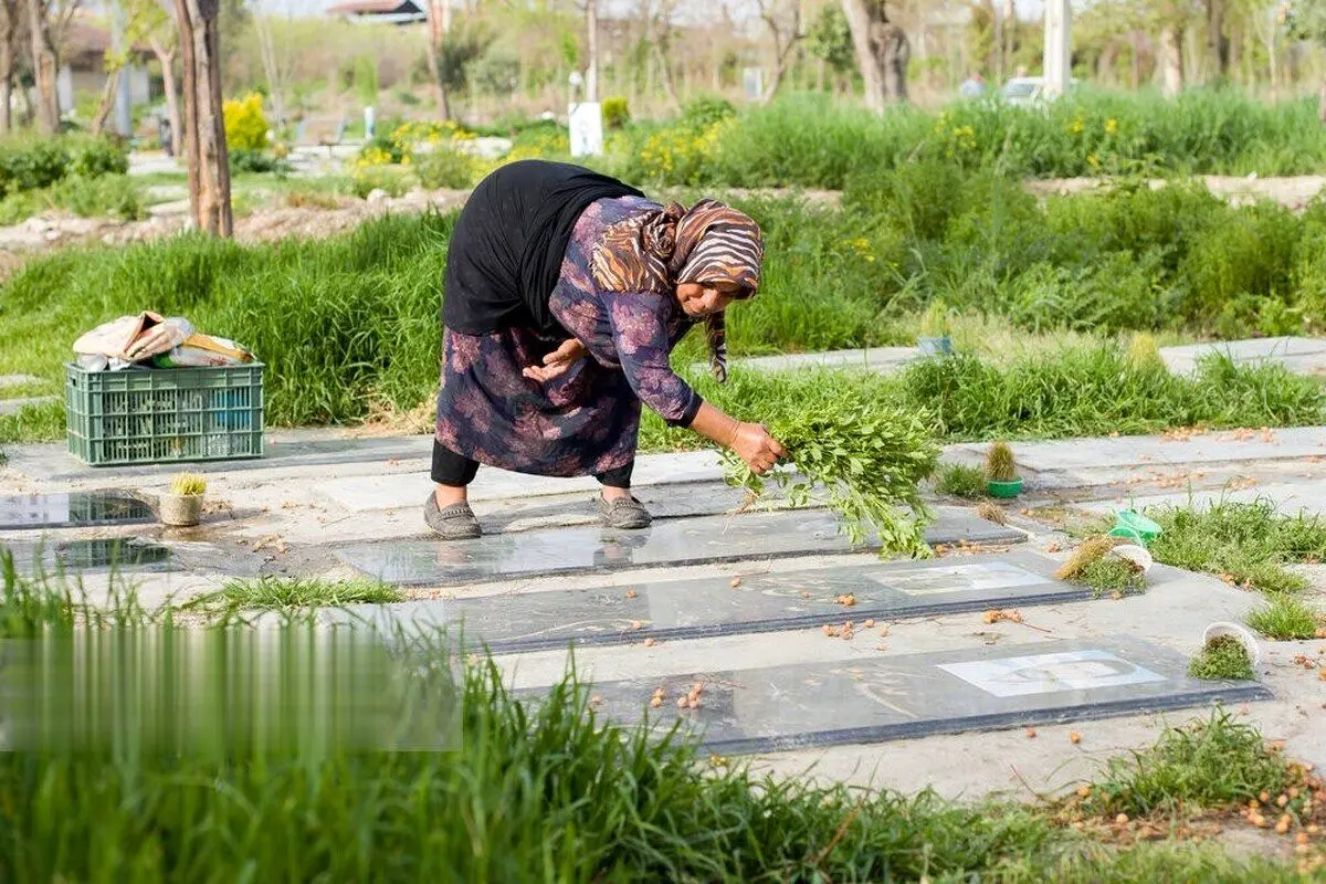 (تصاویر) مراسم چهارده بدر