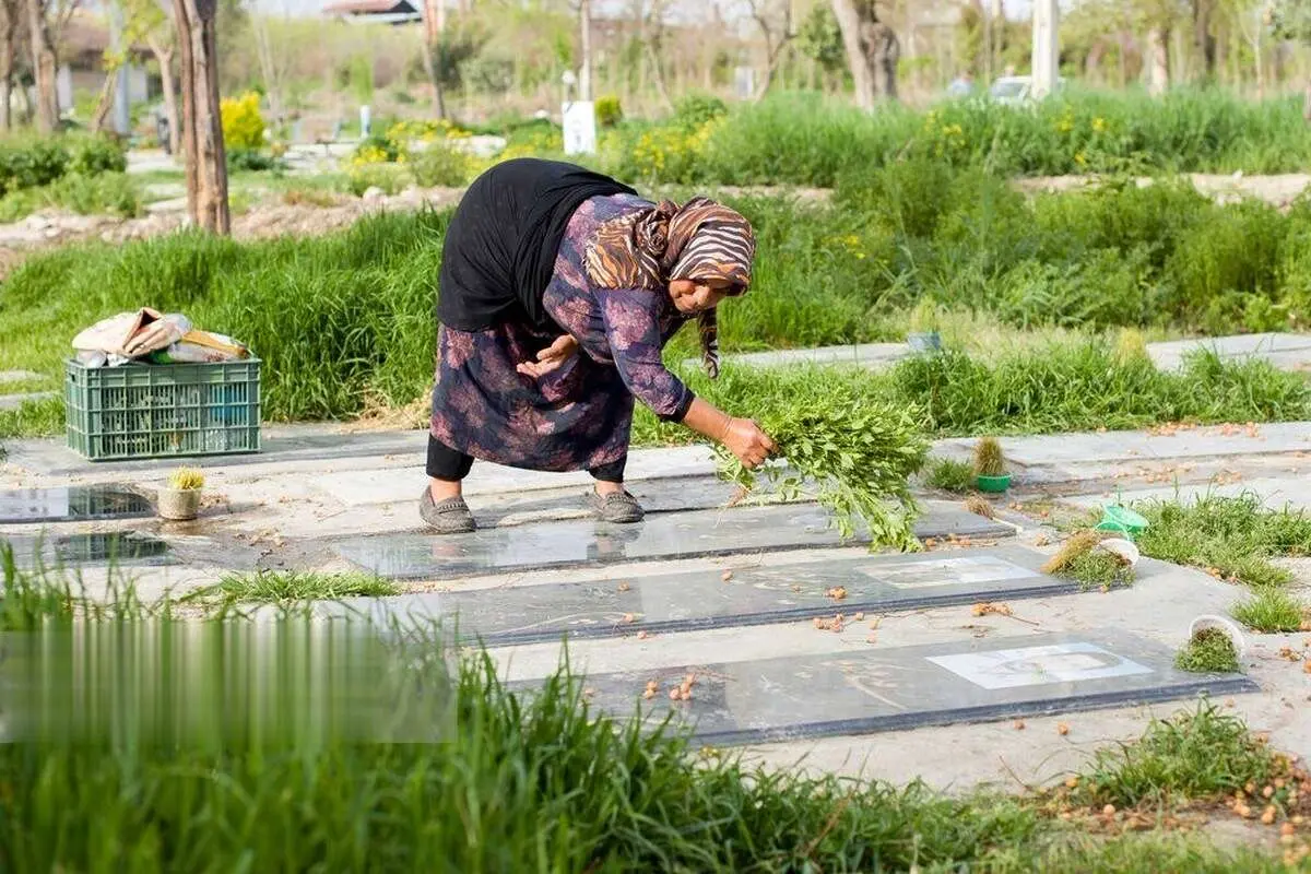 (تصاویر) مراسم چهارده بدر