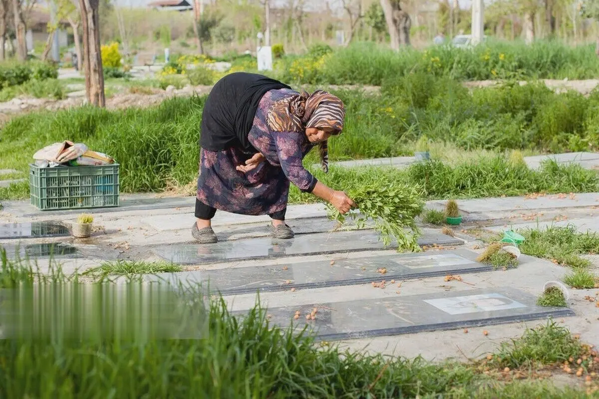 (تصاویر) مراسم چهارده بدر