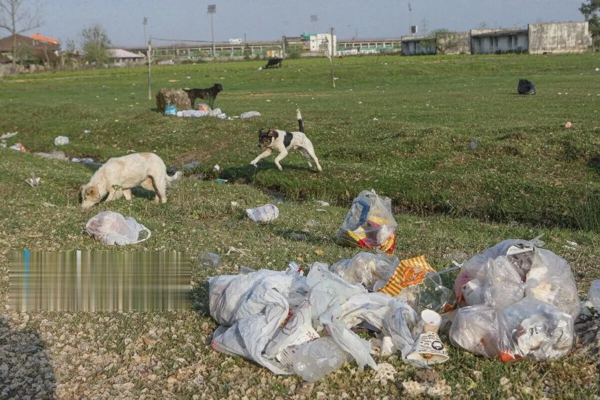 تصاویر؛ بحران «زباله» تهدیدی برای سرزمین باران