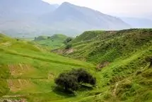 تصاویر؛ مناظر چشم‌نواز دشت «سوسن»