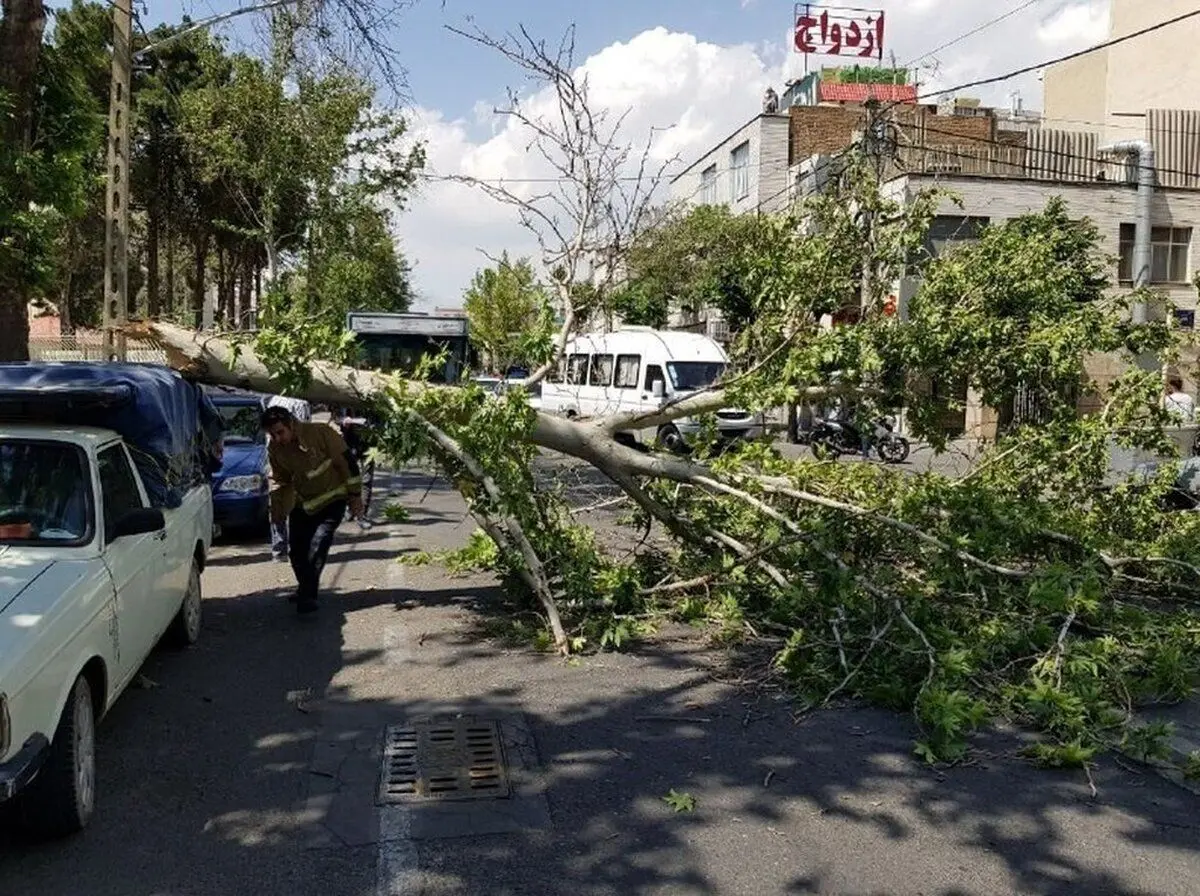 هشدار به تهرانی‌ها؛ وزش باد شدید و خطر شکستن درختان