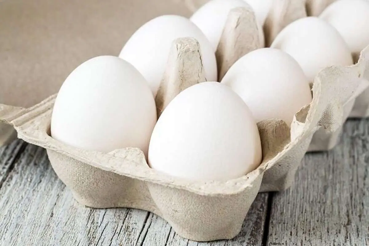 کاهش قیمت تخم مرغ در بازار؛ یک شانه ۳۰ عددی چند شد؟