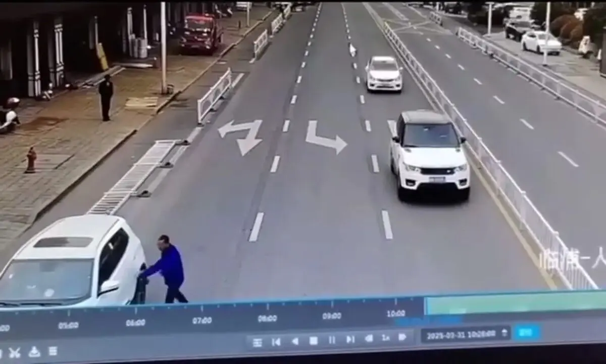 ببینید؛ رانندگی سگ ولگرد حادثه آفرید