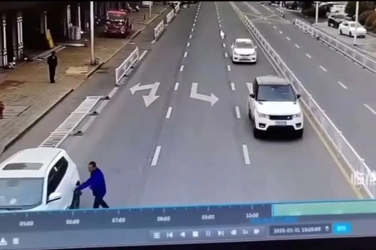 ببینید؛ رانندگی سگ ولگرد حادثه آفرید