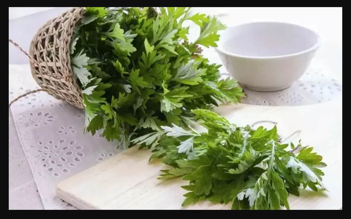 دشمن گیاهیِ سرطان روده بزرگ شناسایی شد
