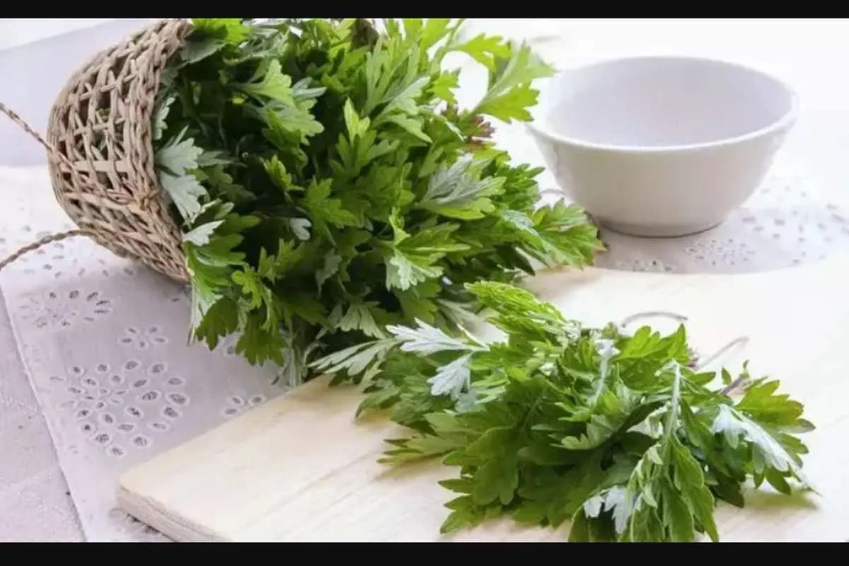 دشمن گیاهیِ سرطان روده بزرگ شناسایی شد