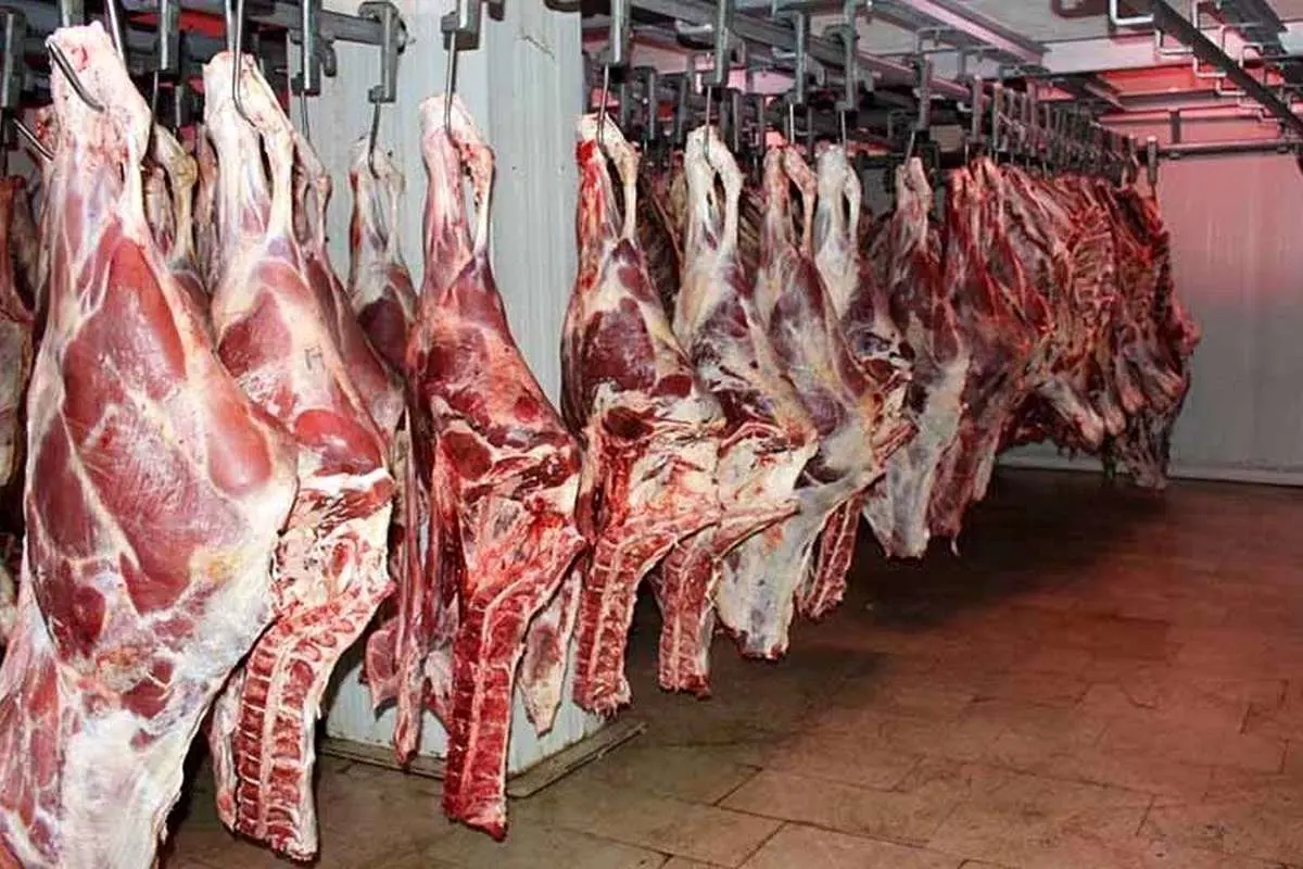قیمت گوشت قرمز امروز ۱۷ فروردین ۱۴۰۴؛ شقه گوسفندی چند؟