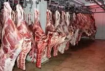 قیمت گوشت قرمز امروز ۱۷ فروردین ۱۴۰۴؛ شقه گوسفندی چند؟
