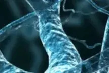 یک آزمایش ساده برای پیش بینی آلزایمر