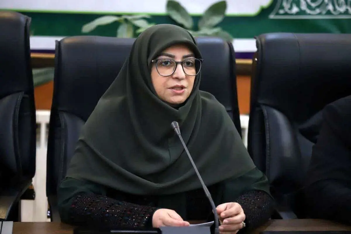 انصاری: قانون هوای پاک باید کامل اجرا شود