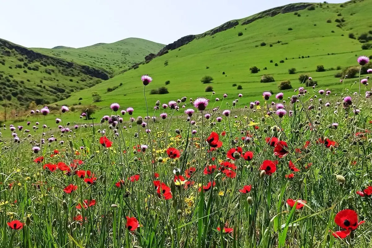 سفر به دل طبیعت؛ نوروزگردی در خنداب