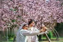 (تصاویر) بهار طبیعت در تهران