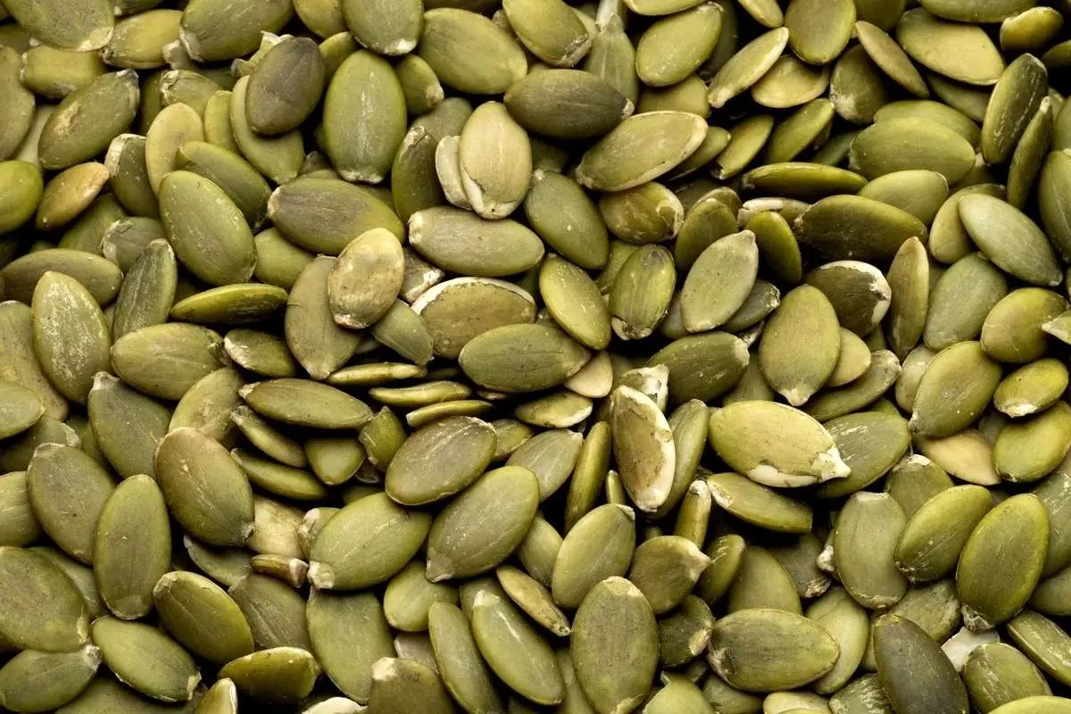 فوت و فن تغذیه؛ از خوردن «تخمه کدو» غافل نشوید!