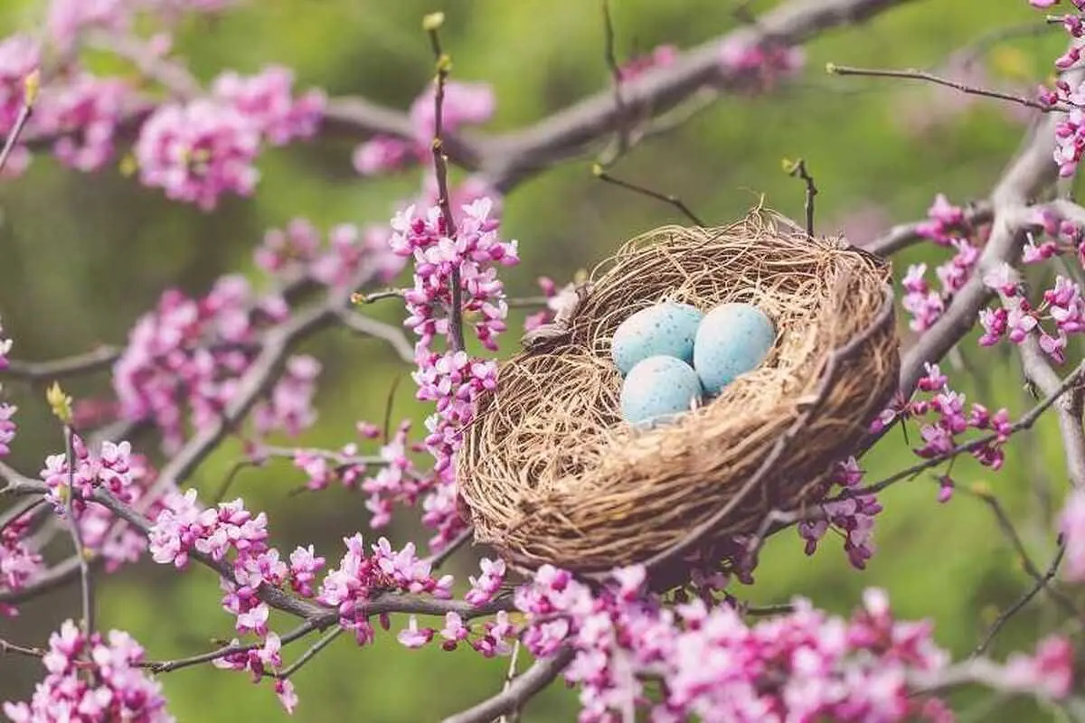 تفال به حافظ سه شنبه ۱۹ فروردین ۱۴۰۴؛ یا مبسما یحاکی درجا من اللالی....