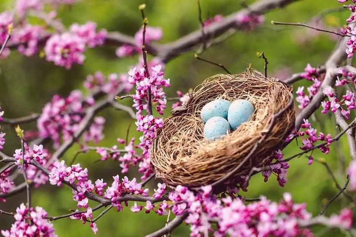 تفال به حافظ سه شنبه ۱۹ فروردین ۱۴۰۴؛ یا مبسما یحاکی درجا من اللالی....