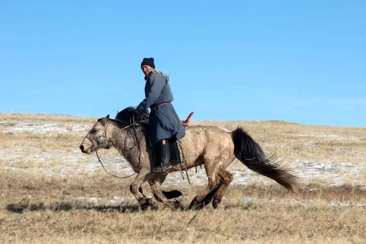 تصاویر؛ بحران در سرزمین چنگیزخان؛ کوچنشینها زیر سایه دود و یخبندان
