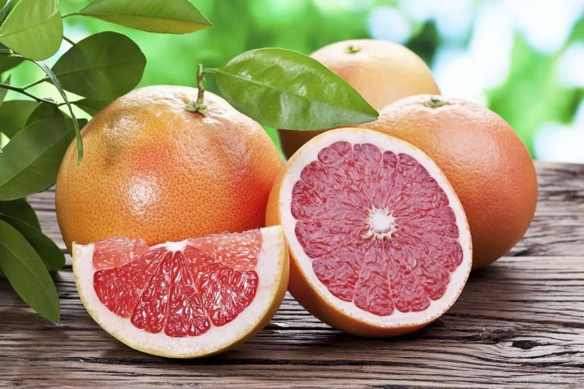 این میوه به چربیسوزی کمک میکند
