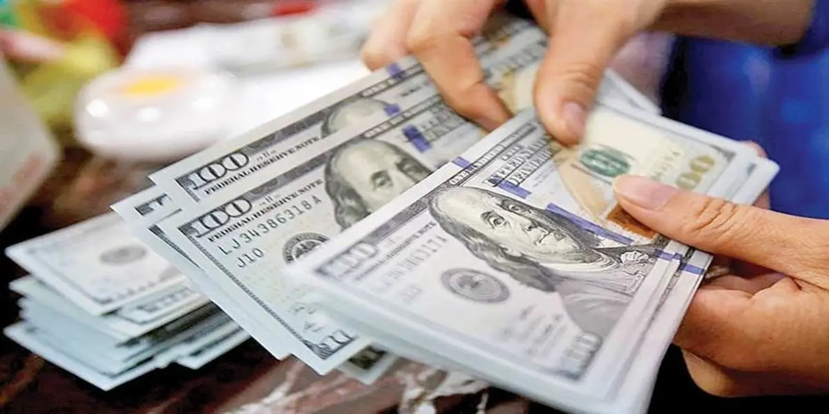 یک اقتصاددان: قیمت دلار واقعی نیست؛ پیش‌بینی نرخ در سال جاری