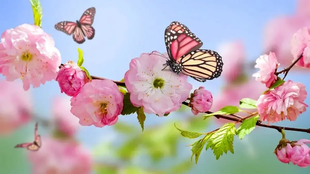 تفال به حافظ پنجشنبه ۲۱ فروردین ۱۴۰۴؛ صلاح کار کجا و من خراب کجا...
