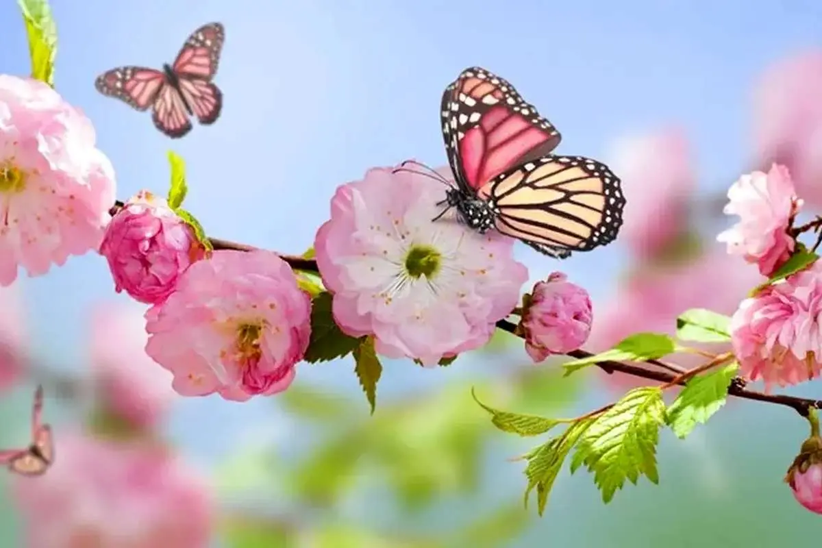 تفال به حافظ پنجشنبه ۲۱ فروردین ۱۴۰۴؛ صلاح کار کجا و من خراب کجا...