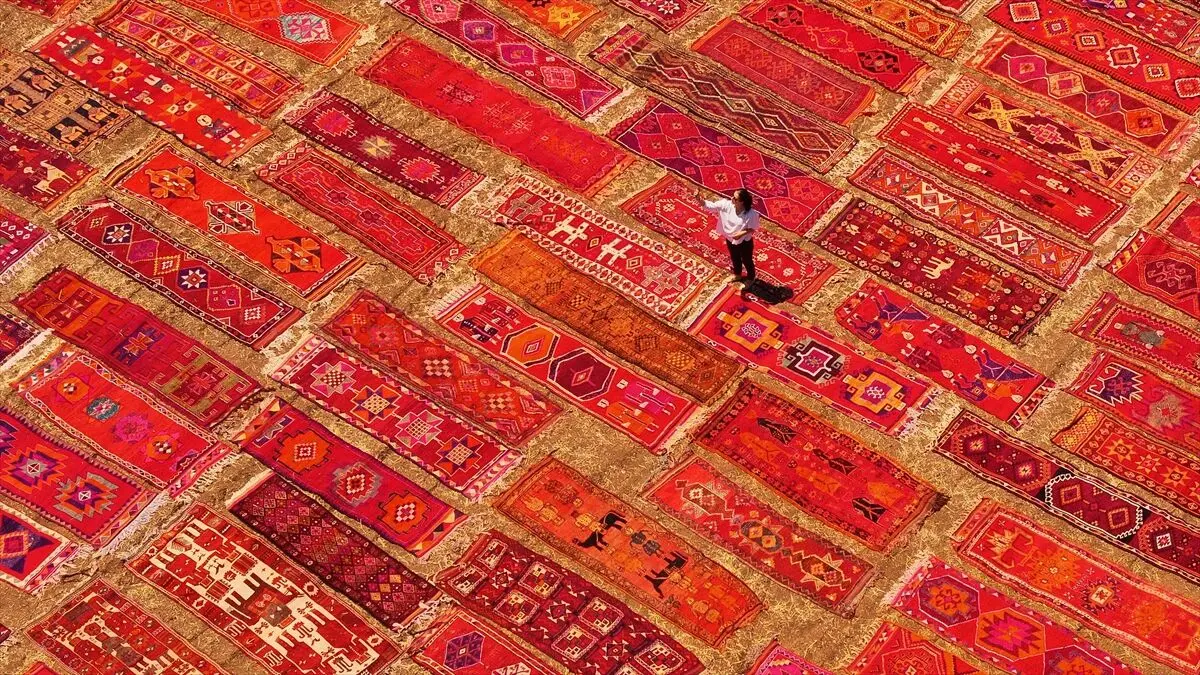 تصاویر؛ تبدیل مزارع گندم به صحنه‌ای از فرش‌های رنگین