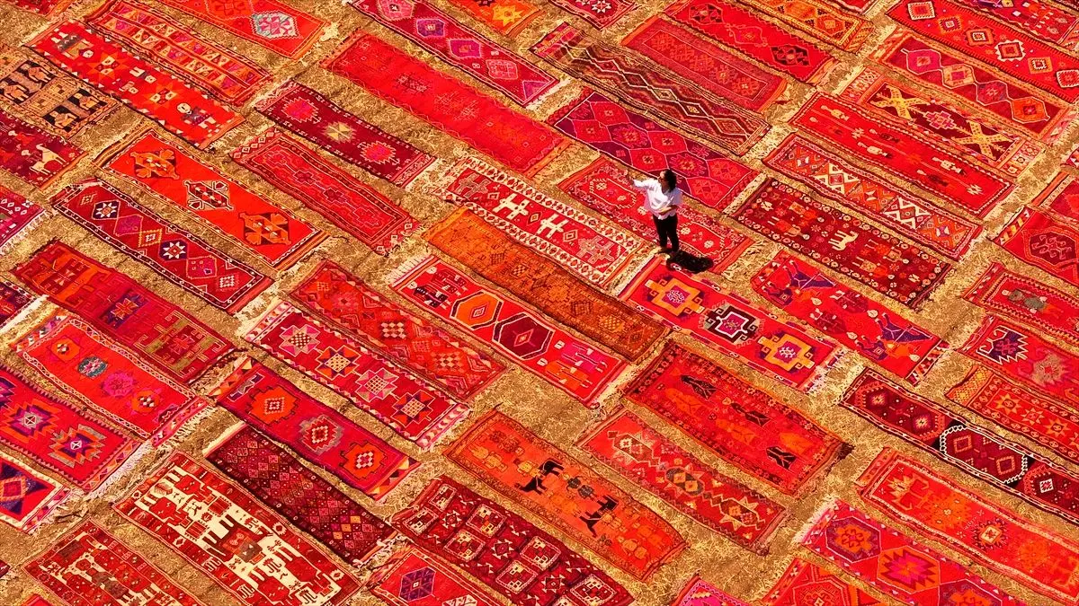 تصاویر؛ تبدیل مزارع گندم به صحنه‌ای از فرش‌های رنگین