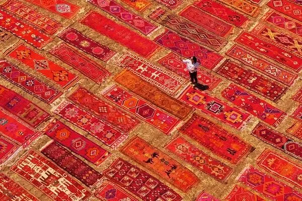 تصاویر؛ تبدیل مزارع گندم به صحنه‌ای از فرش‌های رنگین