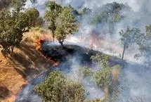 جنگل‌های هیرکانی انبار باروت شده است/ ممنوعیت طبیعت‌گردی در مازندران
